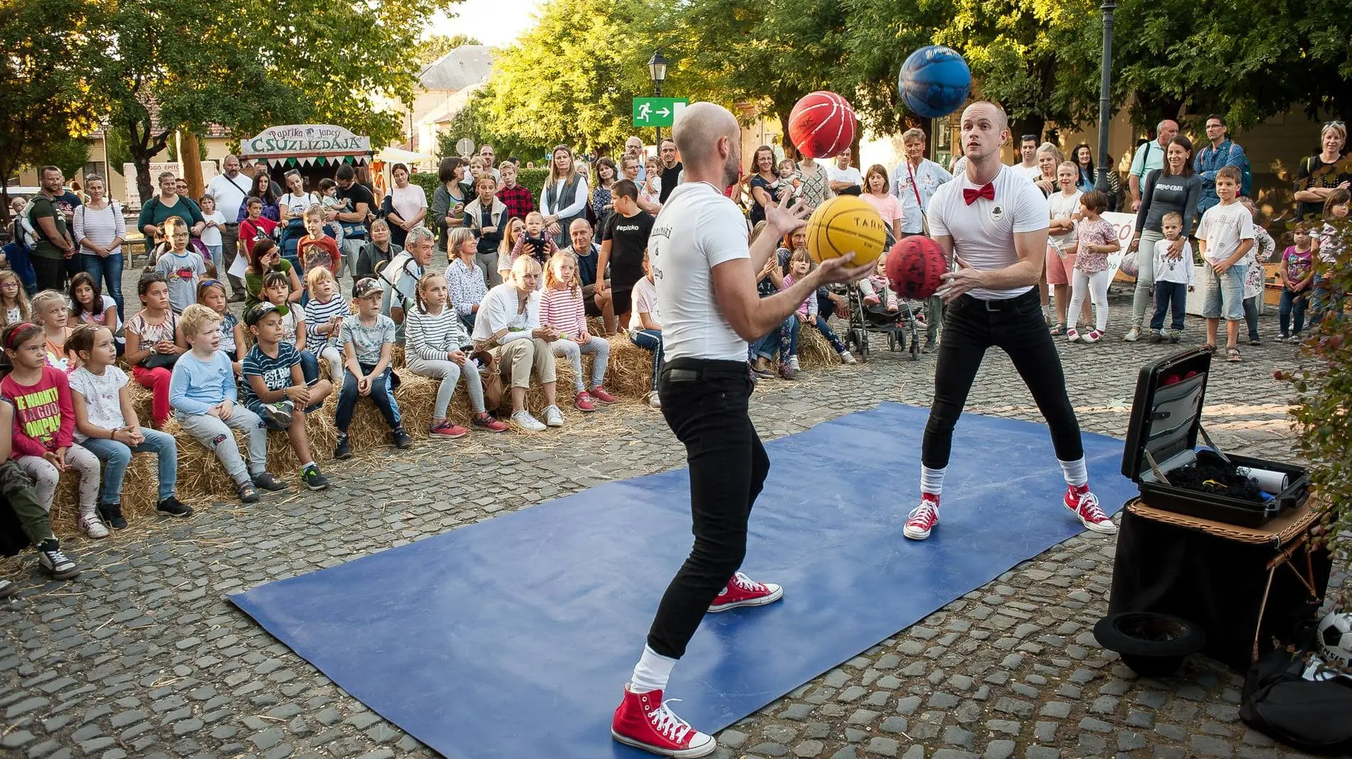 244434401 4191702250928458 6180292497008217158 n